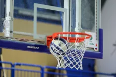 ko&scaron;arka Simbolična fotografija ko&scaron; žoga / Foto: Tina Dokl