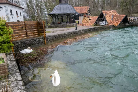 Vetrolom na Gorenjskem, 27. 3. 2026 - Preddvor, va&scaron; razgled / Foto: Primož Pičulin