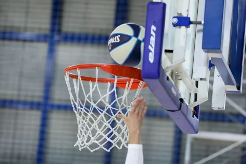 ko&scaron;arka Simbolična fotografija ko&scaron; žoga / Foto: Tina Dokl