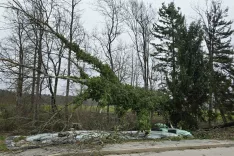 močan veter, Zgornja Bela / Foto: Alenka Brun