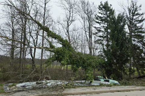 močan veter, Zgornja Bela / Foto: Alenka Brun
