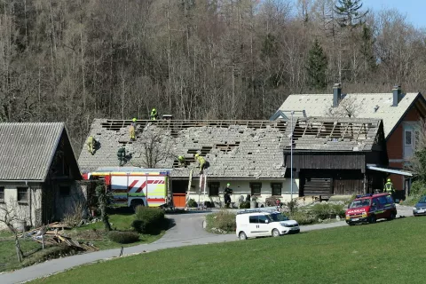 &Scaron;tefanja Gora, vetrolom / Foto: Ana Jagodic Dolžan
