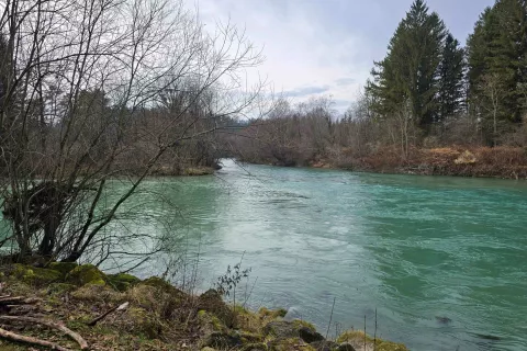 Sotočje Save Bohinjke in Save Dolinke na Lancovem pod Radovljico / Foto: Marjana Ahačič