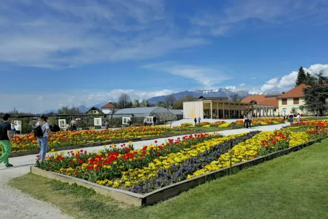 dan kave in čokolade / Foto: Alenka Brun