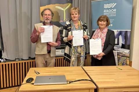 Semena so včasih dajali za doto