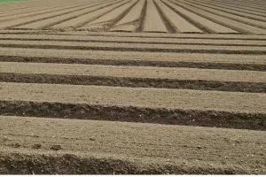 Občine bodo predlagana območja trajno varovanih kmetijskih zemlji&scaron;č morale upo&scaron;tevati pri pripravi občinskih prostorskih načrtov. / Foto: Cveto Zaplotnik