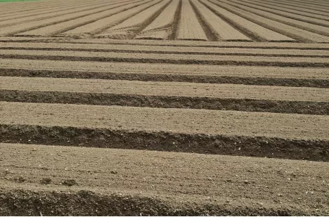 Občine bodo predlagana območja trajno varovanih kmetijskih zemlji&scaron;č morale upo&scaron;tevati pri pripravi občinskih prostorskih načrtov. / Foto: Cveto Zaplotnik