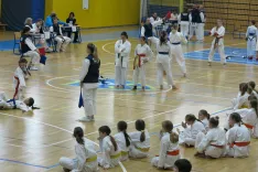 Karate turnir Cerklje / Foto: Ana Jagodic Dolžan
