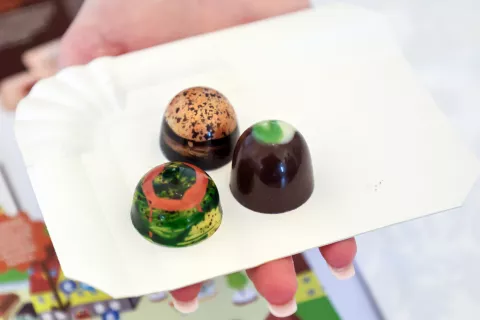 Festival čokolade Radovljica 2026 najbolj&scaron;e po mnenju žirije / Foto: Tina Dokl