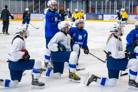 Hokej priprave slovenske reprezentance na IIHF mednarodni turnir na Bledu, trening 8.4.2026 / Foto: Nik Bertoncelj