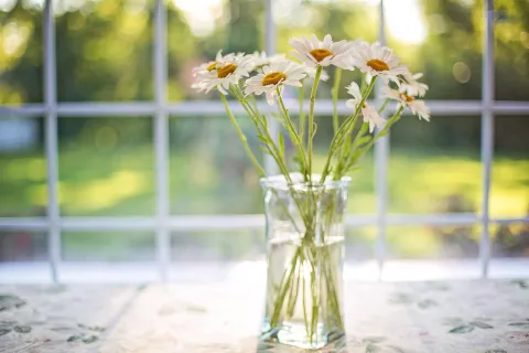 Fotografija je simbolična. / Foto: Pixabay