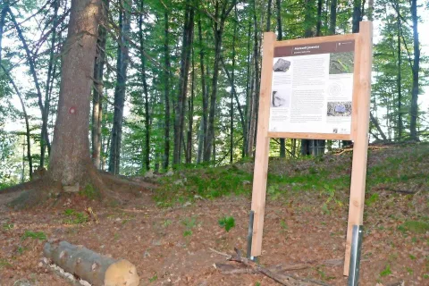 Na mestu na Planskem vrhu na Mežakli, kamor je padel meteorit, so postavili tablo. / Foto: Stane Arh