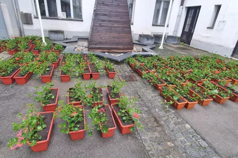 Okenska korita z že zasajenimi cvetlicami bodo občani lahko prevzeli v soboto, 30. maja, od 8. do 11. ure v atriju Občine Tržič. / Foto: Arhiv Ga&scaron;perja Golmajerja