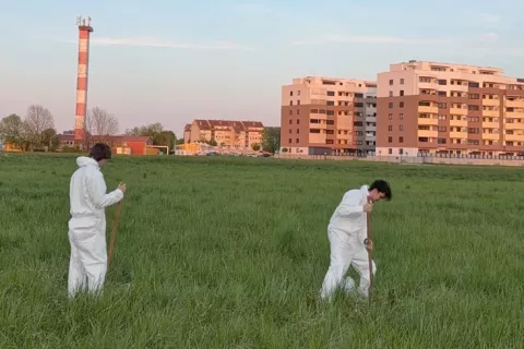 Kot opozorilo sta avtorja posadila dve mladi drevesi. / Foto: Dmb Projekt