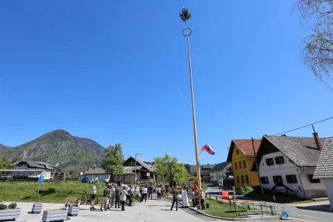 Poljče spet krasi mlaj