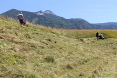 Finančno podporo je možno uveljaviti tudi za nakup kmetijske mehanizacije za delo na gorskem območju. / Foto: Cveto Zaplotnik