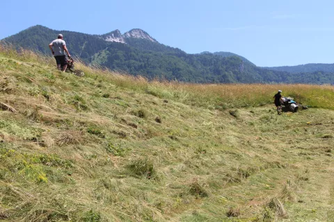 Finančno podporo je možno uveljaviti tudi za nakup kmetijske mehanizacije za delo na gorskem območju. / Foto: Cveto Zaplotnik