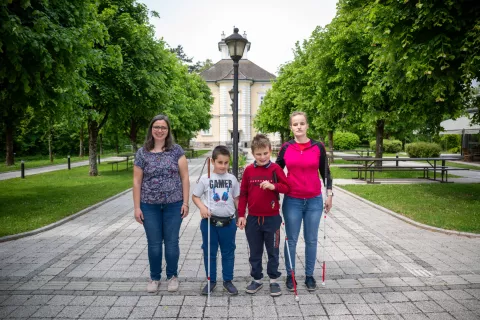 Najti slepe sovrstnike je izziv