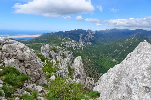 Pogled na greben Dabarskih kukov, vse tja do Bačić kuka, desno, v ozadju je &Scaron;atorina, najvi&scaron;ji vrh Srednjega Velebita. / Foto: Jelena Justin
