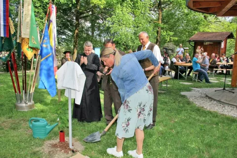 Domžalska županja se je odločila, da bo podarjena lipa rasla pri učnem čebelnjaku pod Močilnikom v Dobu. / Foto: Arhiv Občine Domžale