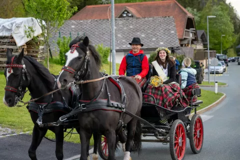Miss narcis tekmovanjePlanina pod Golico, 16. maj 2026zmagovalka Patricija Černe / Foto: Nik Bertoncelj