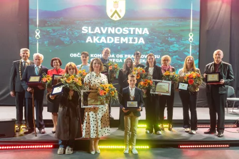 Razvojni in idejni projekti