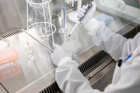 Nov Novartisov obrat za proizvodnjo virusnih vektorjev, ki so ključni del celičnih in genskih terapij. / Foto: Primož Pičulin