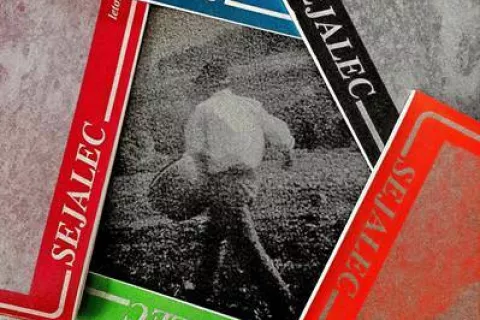 Revija Sejalec / Foto: OI JSKD &Scaron;kofja Loka