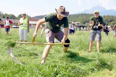 Mladi se bodo na kmečkih igrah pomerili tudi v ročni ko&scaron;nji. / Foto: arhiv GG - Tina Dokl