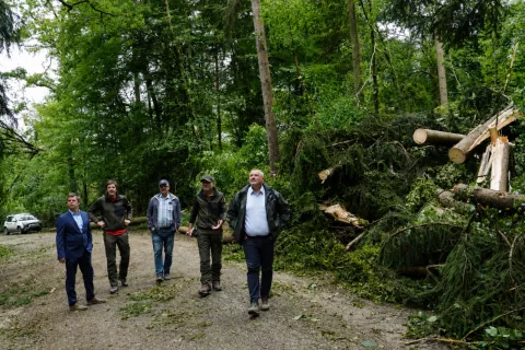 V četrtek sta si posledice vetroloma v občini Komenda v spremstvu gozdarjev ogledala tudi direktor zavoda za gozdove Grega Danev in novi v.d. generalnega direktorja direktorata za gozdarstvo in lovstvo na kmetijskem ministrstvu Simon Resman. / Foto: ZGS