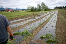 Posledice nočnega neurja v Komendi / Foto: Primož Pičulin