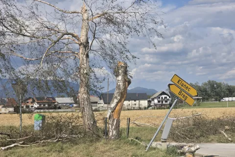 Ocena &scaron;kode v gospodarstvu zaradi neurij
