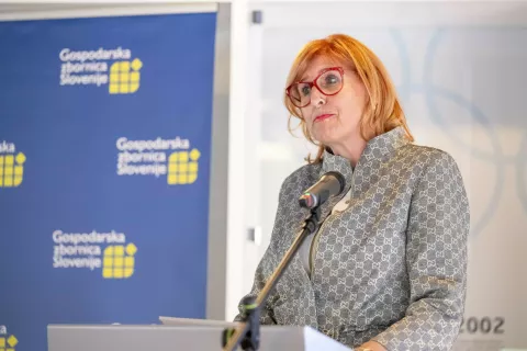 Nov mandat generalni direktorici GZS