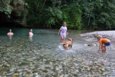 poletje, voda, vročina, živali, pes, ohladitev Kokra / Foto: Tina Dokl