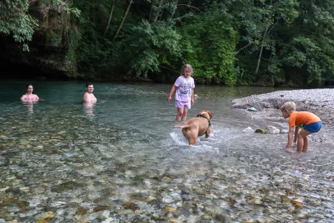 poletje, voda, vročina, živali, pes, ohladitev Kokra / Foto: Tina Dokl