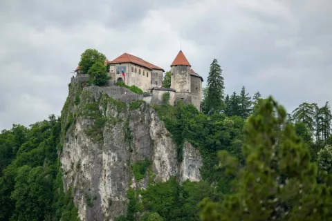 Simbolična fotografija Občina BledBlejski grad / Foto: Nik Bertoncelj
