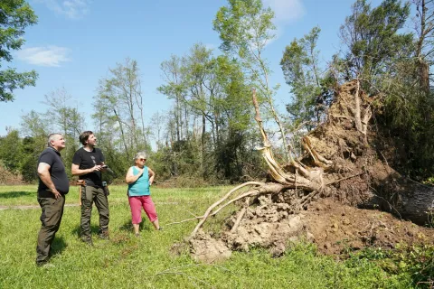 ogled sanacije po vetrolomu v Komendi / Foto: Zavod za gozdove Slovenije