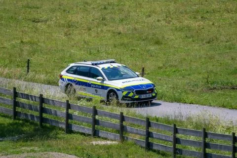 Simbolična fotografija Policija / Foto: Nik Bertoncelj