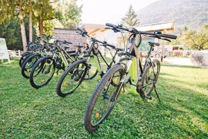 Gorsko električno kolo si lahko izposodite v Kampu &Scaron;pik in v sredi&scaron;ču Kranjske Gore v izposojevalnici Alp Adventures, za prihodnje leto pa načrtujejo &scaron;iritev izposojevalnih točk. / Foto: 