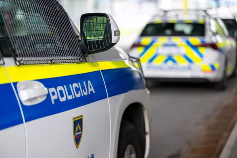 Simbolična fotografija Policija / Foto: Nik Bertoncelj