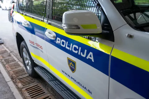Simbolična fotografija Policija / Foto: Nik Bertoncelj