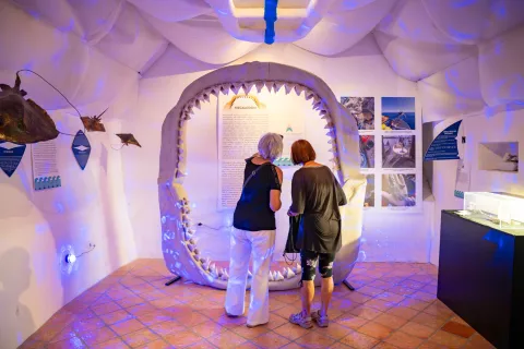 Poletje črnogorske kulture v Kranju / Foto: Primož Pičulin