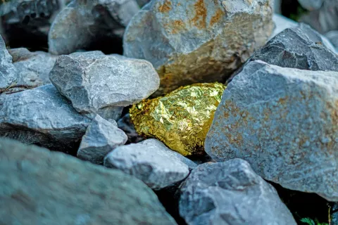 Zlato med kamni / Foto: GOLD STORE
