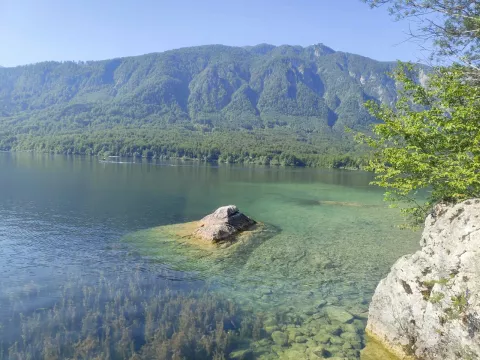 Spet zaznali povečanje plavajoče go&scaron;če