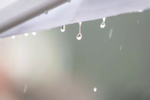 Simbolična fotografija deževno obdobje - dež / Foto: Nik Bertoncelj