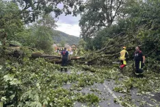 Neurje v Besnici / Foto: Facebook/PGD Besnica
