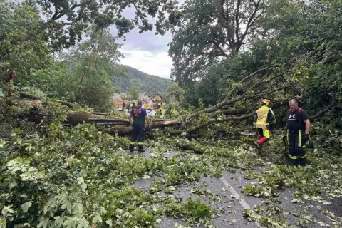 Neurje v Besnici / Foto: Facebook/PGD Besnica