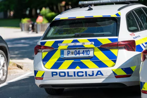 Simbolična fotografija Policija / Foto: Nik Bertoncelj