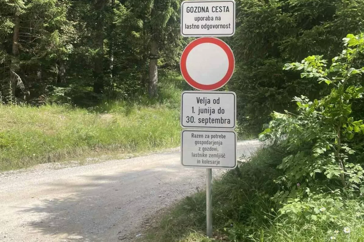 https://www.gorenjskiglas.si/media/2026/07/20/261842/H-261842-1245.webp