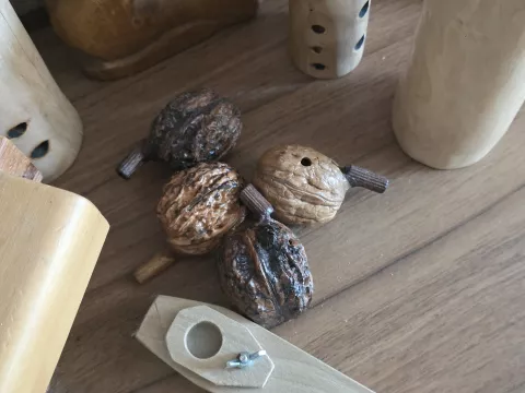 Mojster starodavnih glasbil